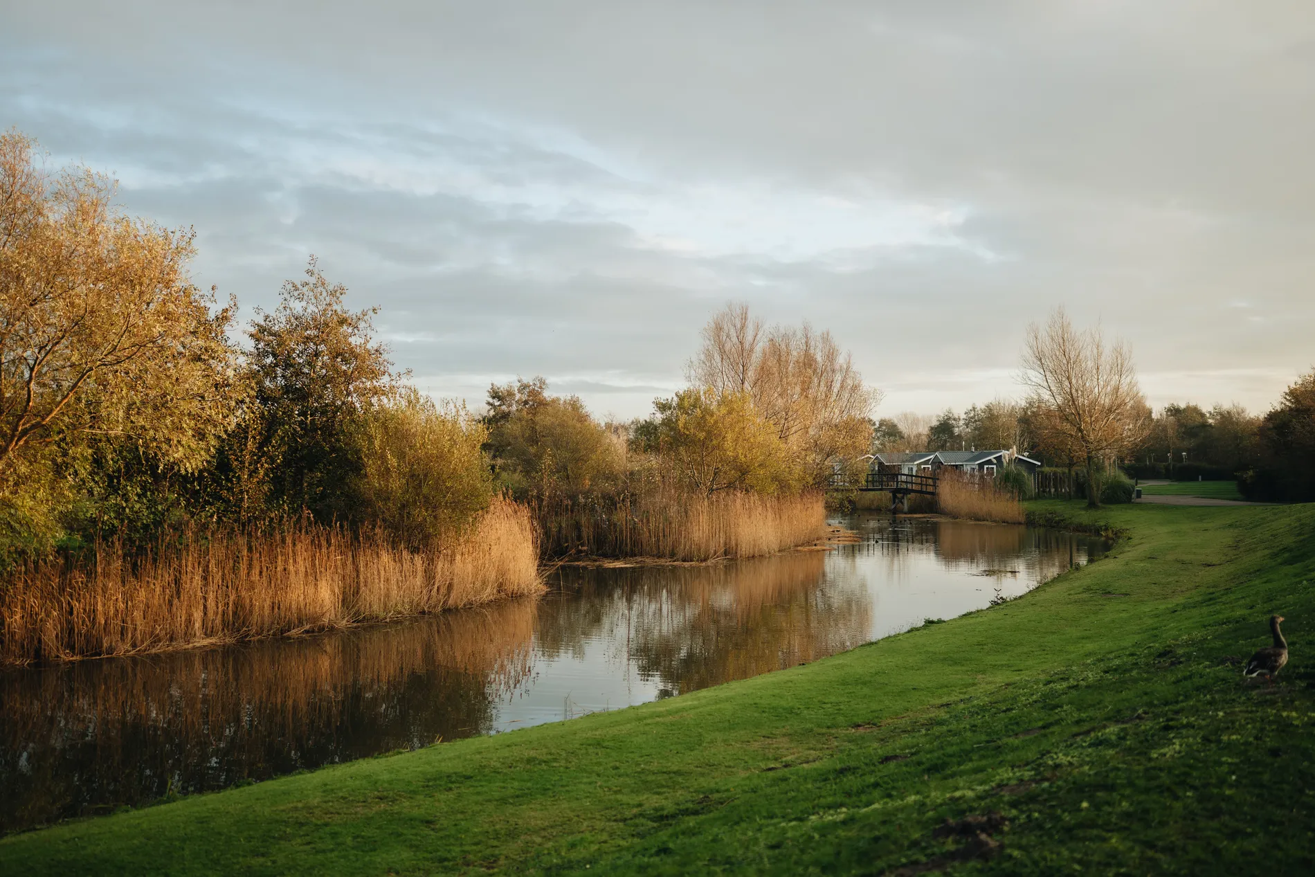 Een doorkijkje over de kronkelende watergang en grasvelden van Resort Land & Zee, waar natuur en recreatie samenkomen in een Zeeuws landschap.